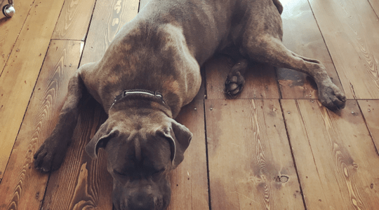 Flooring | The Floor Store