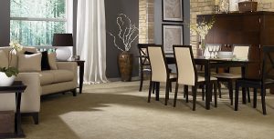 Carpet flooring | The Floor Store