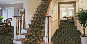 Carpet runner for stairs | The Floor Store
