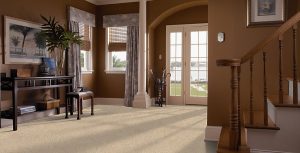 Carpet flooring | The Floor Store