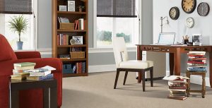 Carpet flooring | The Floor Store