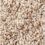 Carpet twist | The Floor Store