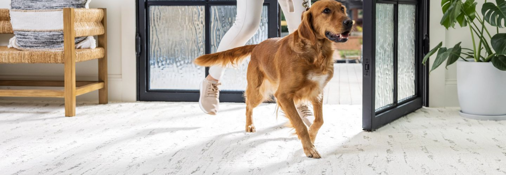pet friendly, durable carpet | The Floor Store | Bay Area California