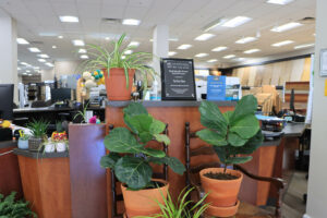 San Jose Showroom | The Floor Store