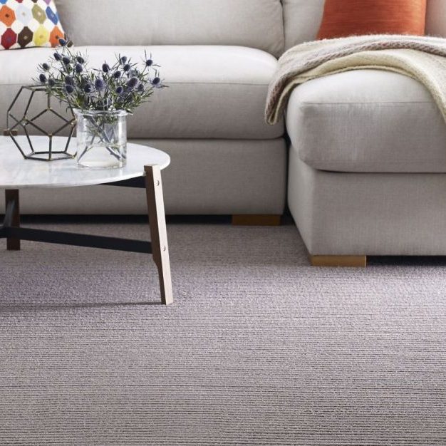 Carpet floor | The Floor Store